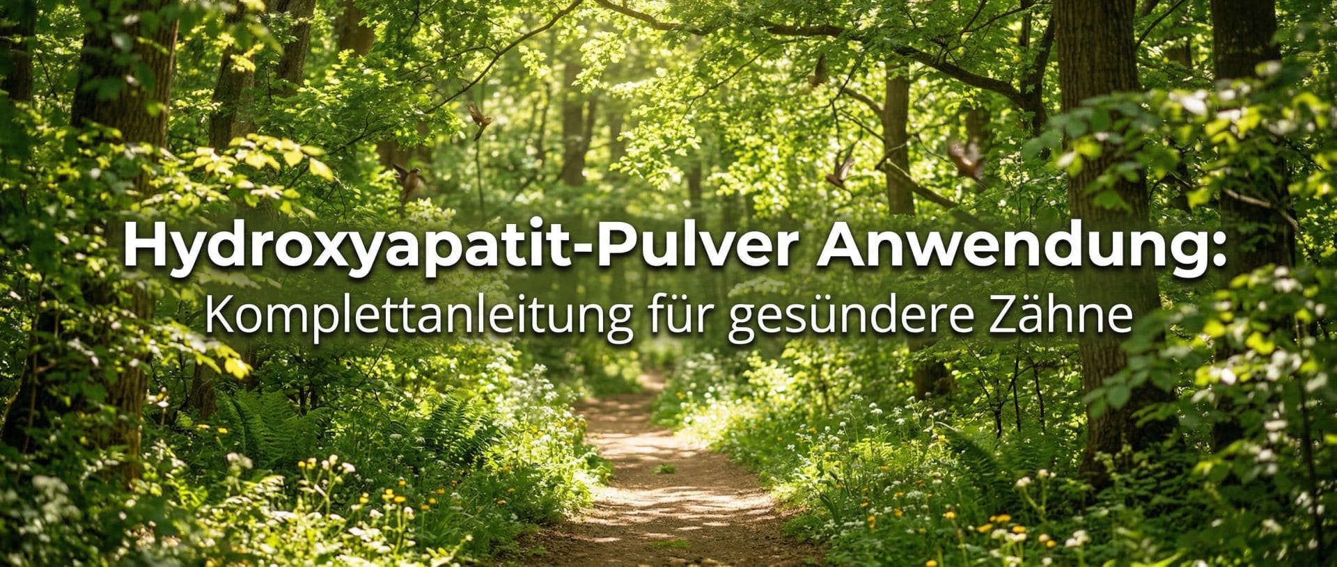 Hydroxyapatit-Pulver Anwendung Komplettanleitung für gesündere Zähne