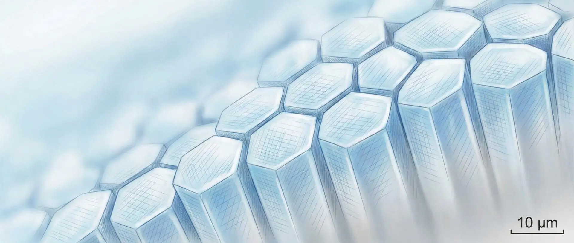 Close up impression of hydroxyapatite powder